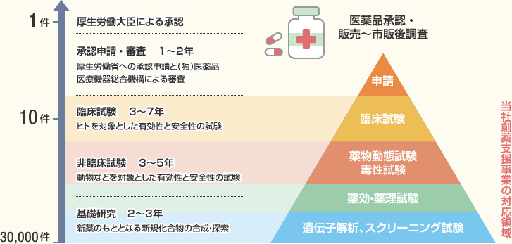 1つの新薬を開発するまでのプロセス