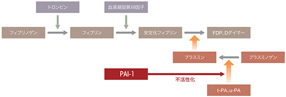 図説血栓・止血・血管学 / 一瀬 白帝【編著】 - 紀伊國屋書店