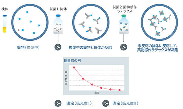 エンタイア生物薬剤学: ADME、動態、TDMそして投与設計へ | 武田