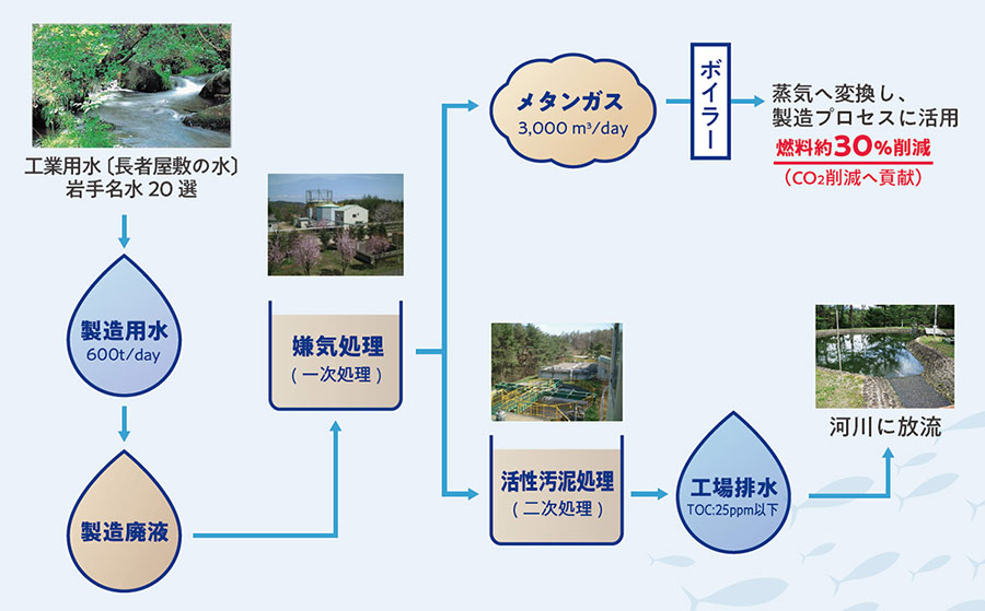 岩手名水20選を利用した製造用水は一次処理、二次処理を経て、TOC：25ppmにした工場排水で河川へ放流します。また、処理の際に出るメタンガスは、蒸気へ変換し製造プロセスに活用することで、燃料約30％削減し且つCO2削減へ貢献します。