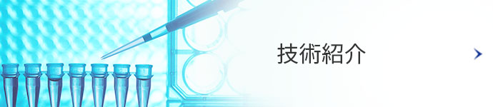 技術紹介