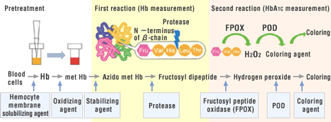 Assay Principle