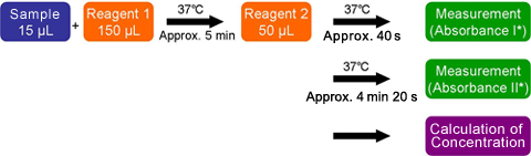 Assay Procedure