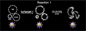 Reaction 1