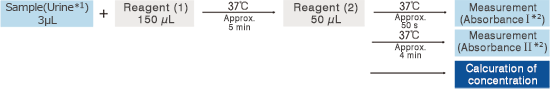 Assay Procedure