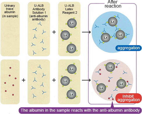 Latex Immunoturbidimetric Assay (Competitive Method)