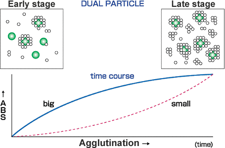 NEW LATEX TECHNOLOGY