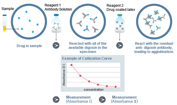 Latex Immunoturbidimetric Assay