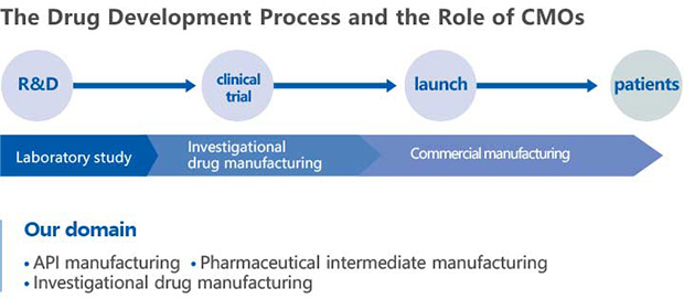 The Drug Development Process and the Role of CMOs